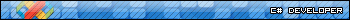 C# Developer