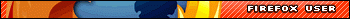 Firefox 2 User