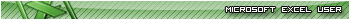 Microsoft Excel User