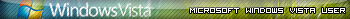 MS Windows Vista User