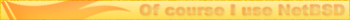 NetBSD (Gold)