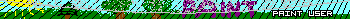 MS Paint User