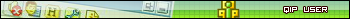 QIP User