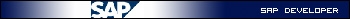 SAPdeveloper