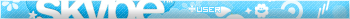 Skype User