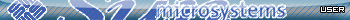 Sun Microsystems