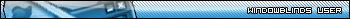 WindowBlinds User