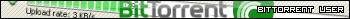 BitTorrent