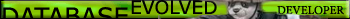 data base develiper