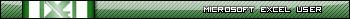 Excel User