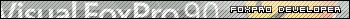 microsoft visual foxpro developer
