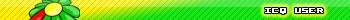 icq user
