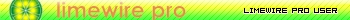 LimeWire Pro User
