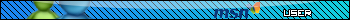 msn messenger