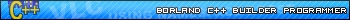 Borland C++ Builder programmer