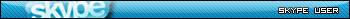 Skype User