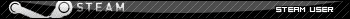Steam User