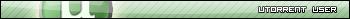uTorrent User