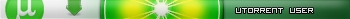 Utorrent User