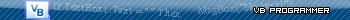 Visual Basic User