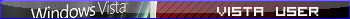 Vista User