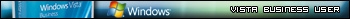 Microsoft Windows Vista Business