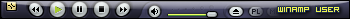 Winamp user
