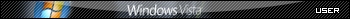 Win Vista user