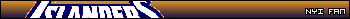 Islanders hockey