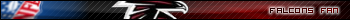 Atlanta Falcons Fan