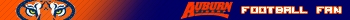 Auburn Tigers Football Fan