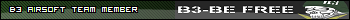 B3 official userbar