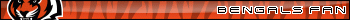 Cincinnati Bengals Fan