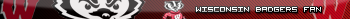 Wisconsin Badger Fan
