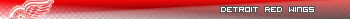 Detroit Red Wings