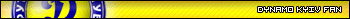 Dynamo Kyiv