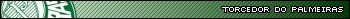 Torcedor do Palmeiras