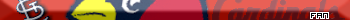 St. Louis Cardinals Fan