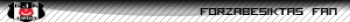 Userbar Besiktas