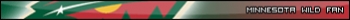 Minnesota Wild Fan