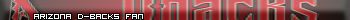 Arizona D-Backs Fan