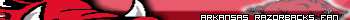 Arkansas Razorbacks Fan