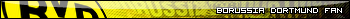 Borussia Dortmund Fan