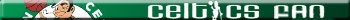 Boston Celtics Fan