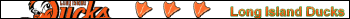 Long Island Ducks