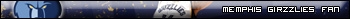 Memphis Grizzlies