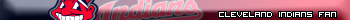Cleveland Indians Fan