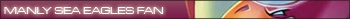 NRL Manly Sea Eagles Fan