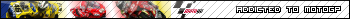 Addicted to MotoGP
