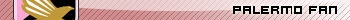 Palermo fan userbar
